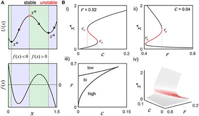 Analog Signaling With the “Digital” Molecular Switch CaMKII